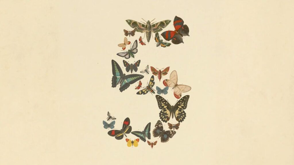 Claude Fable 5